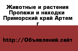 Животные и растения Пропажи и находки. Приморский край,Артем г.